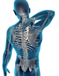Washington, D.C. Spinal Cord Injury Attorney - image of spine