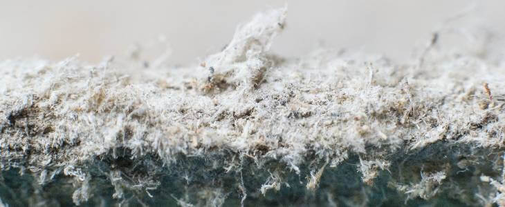 white asbestos in Northern Virginia